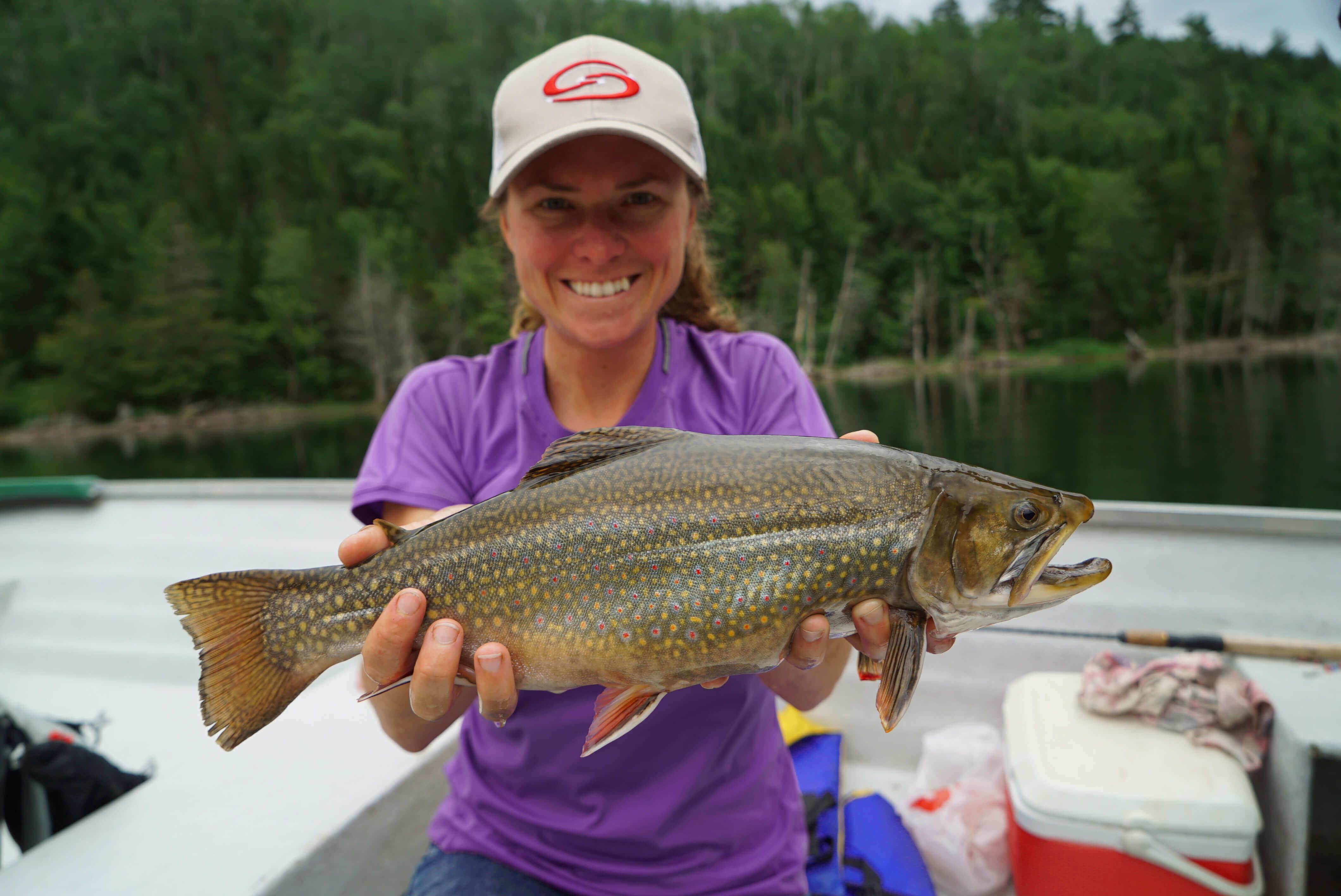 Pêche à la truite mouchetée au Québec les meilleurs endroits