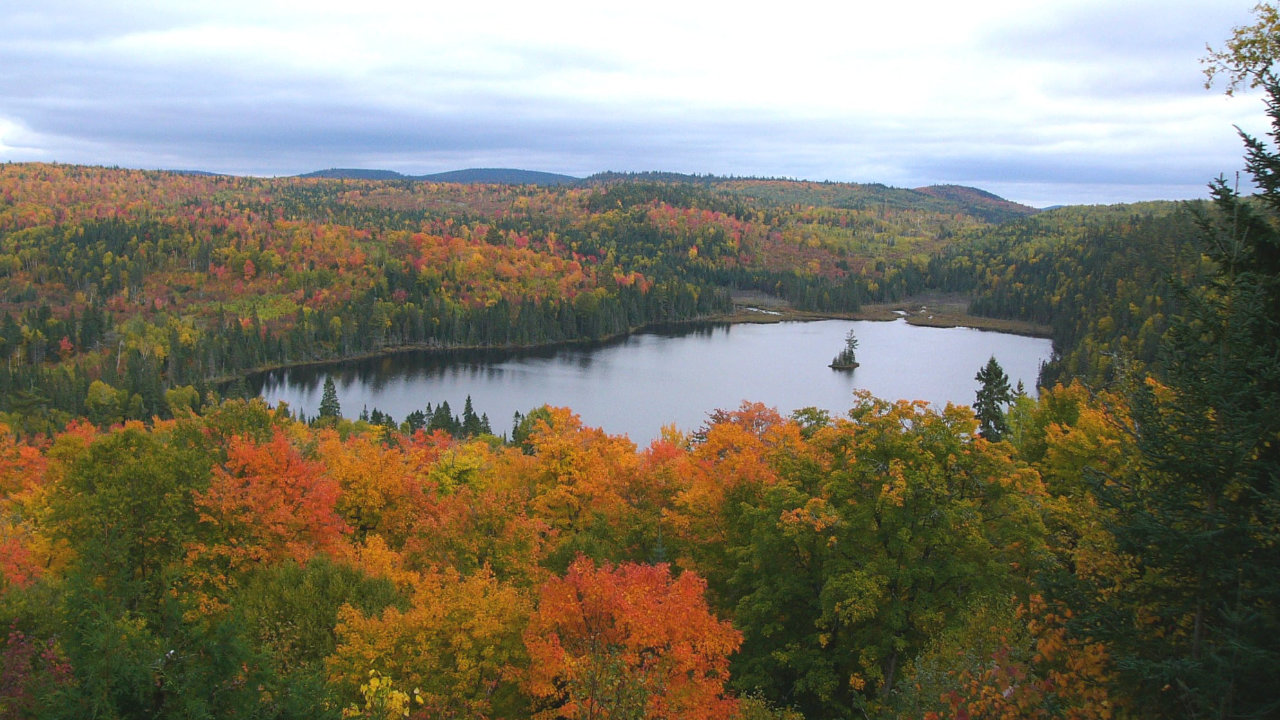 vue aérienne d'un lac entouré d'une forêt en automne dans la ZEC des Nymphes
