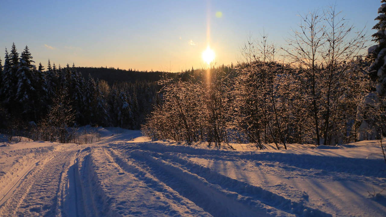 vue d'un sentier un matin d'hiver dans la ZEC Batiscan-Neilson